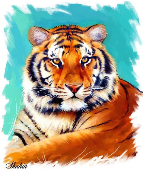 тигр рисунок